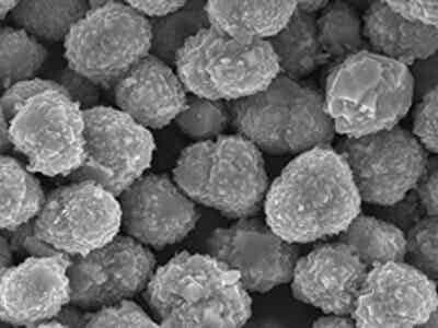 桑頓新能源SM11動力型