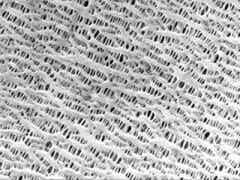 龍世紀 干法隔膜圖2