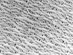 龍世紀(jì) 陶瓷涂覆隔膜圖2