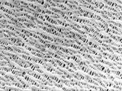 龍世紀 聚合物涂覆隔膜圖2