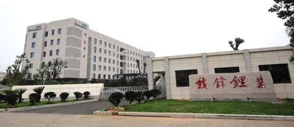 江西贛鋒鋰業(yè)集團(tuán)股份有限公司