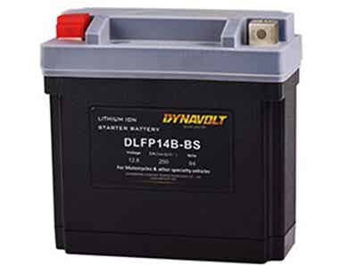 猛獅新能源 鋰離子啟動電池 DLFP14B-BS