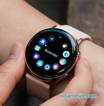 一次鋰氟化碳電池電解液