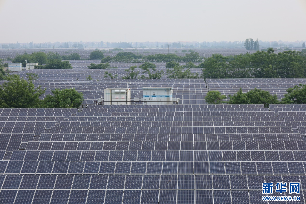 江西省南昌縣蔣巷鎮(zhèn)三洞湖光伏發(fā)電項(xiàng)目。新華網(wǎng) 王曉震 攝